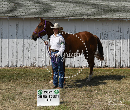 4H Awards 2021-60