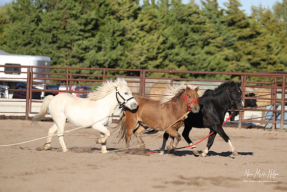 Wild West Days NN 2026-164