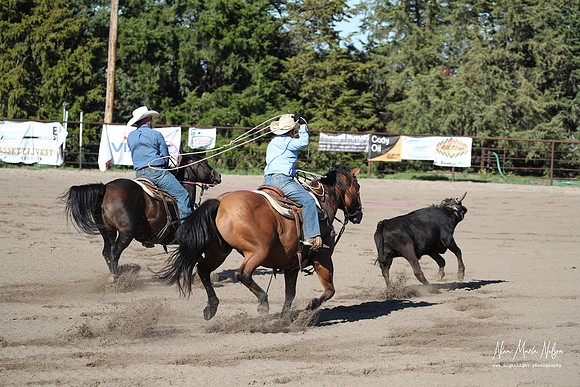 Wild West Days NN 2026-73