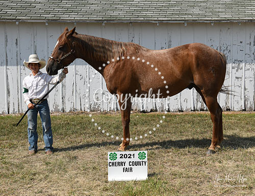 4H Awards 2021-69