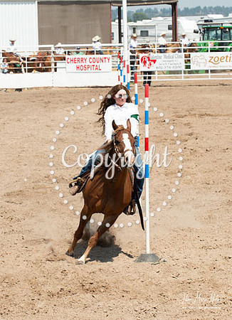 4H Show 2021-37