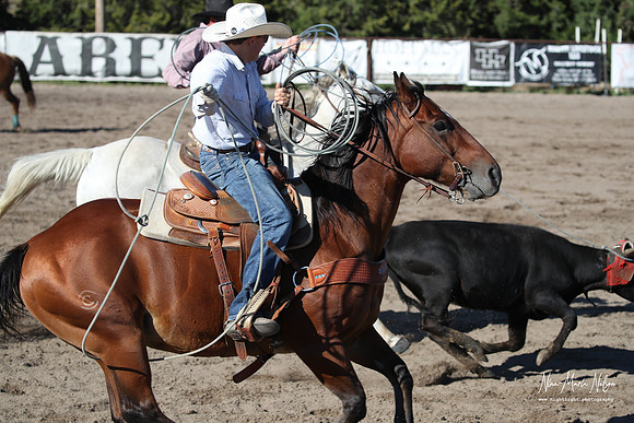 Wild West Days NN 2026-120