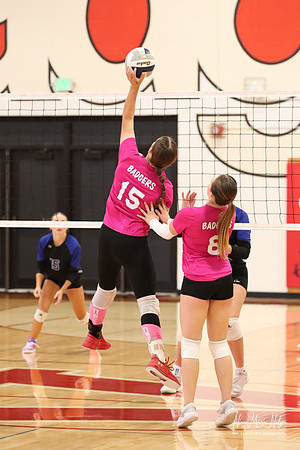 VB VHS vs Hershey 26-9