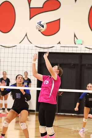 VB VHS vs Hershey 26-13