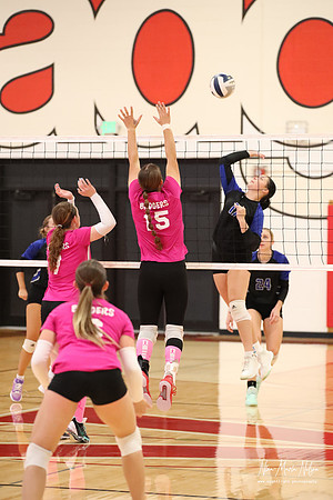 VB VHS vs Hershey 26-11