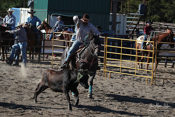 Wild West Days NN 2026-93