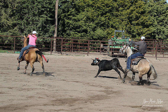 Wild West Days NN 2026-104