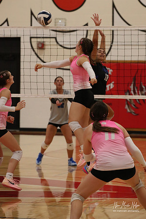 VB VHS vs Hershey 26-59