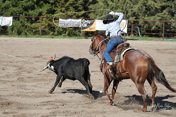 Wild West Days NN 2026-113