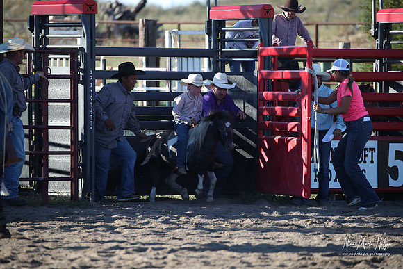 Wild West Days NN 2026-145