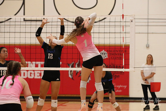 VB VHS vs Hershey 26-56