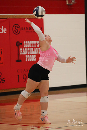 VB VHS vs Hershey 26-33