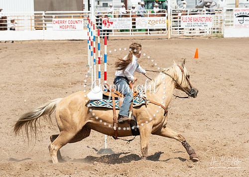 4H Show 2021-70
