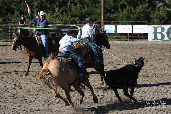 Wild West Days NN 2026-92