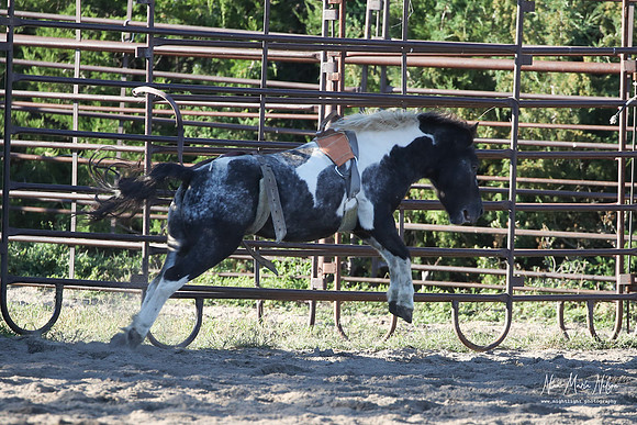 Wild West Days NN 2026-149