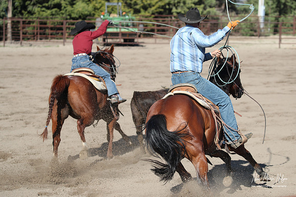 Wild West Days NN 2026-117