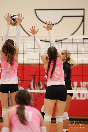VB VHS vs Hershey 26-48