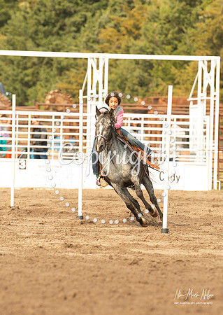 Wild West-17