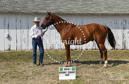 4H Awards 2021-62
