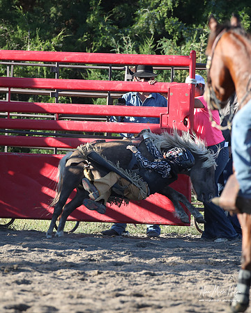 Wild West Days NN 2026-154