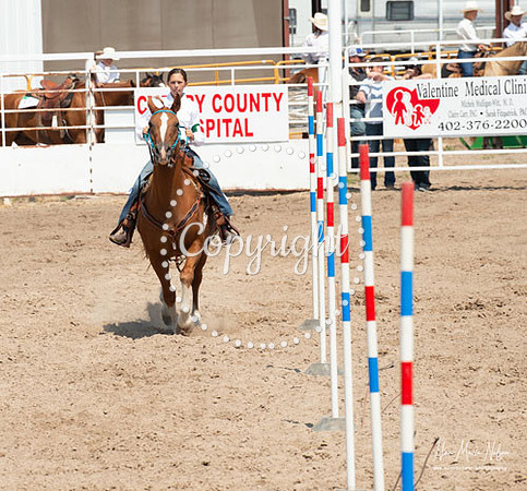 4H Show 2021-40