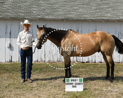 4H Awards 2021-64