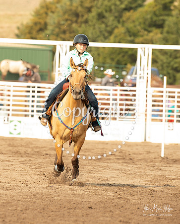 Wild West-15