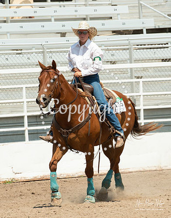 4H Show 2021-2