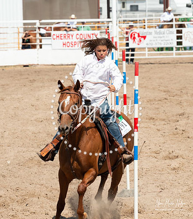 4H Show 2021-51