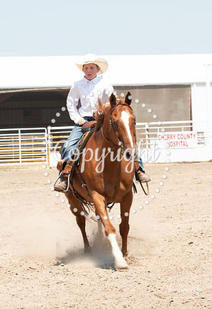 4H Show 2021-31