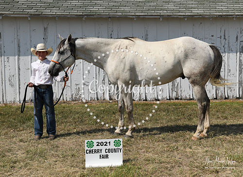 4H Awards 2021-66