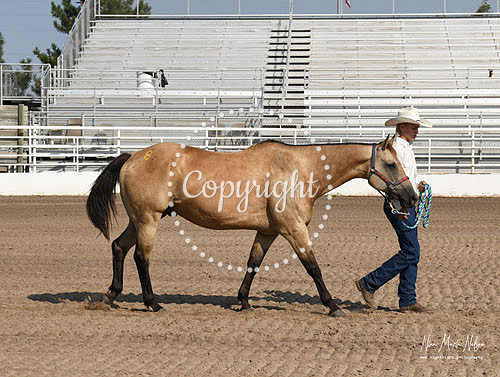 4H Awards 2021-22