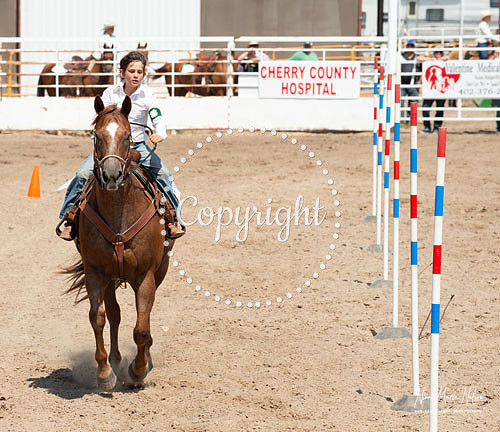 4H Show 2021-44