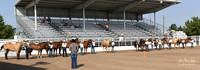 4H Awards 2021-13