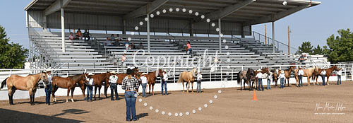 4H Awards 2021-13