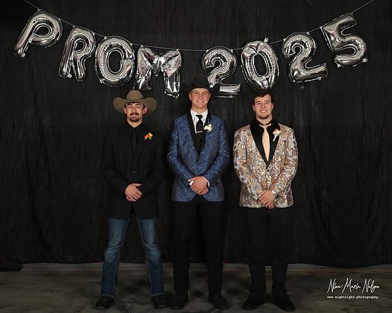 VHS Prom 2025 sm-33