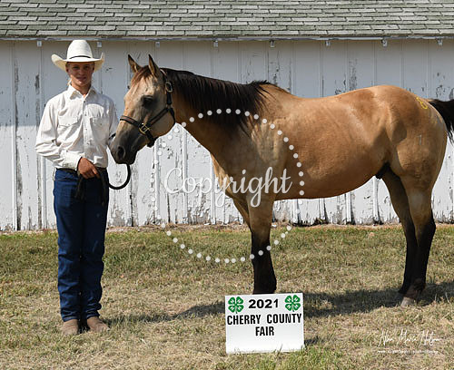 4H Awards 2021-65