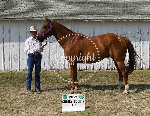 4H Awards 2021-63