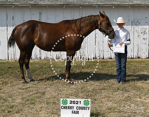 4H Awards 2021-53