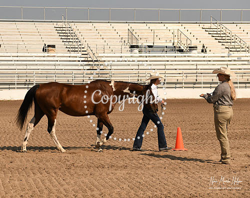 4H Awards 2021-40