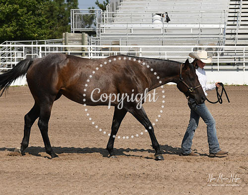 4H Awards 2021-49