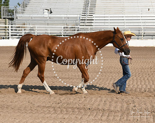 4H Awards 2021-30