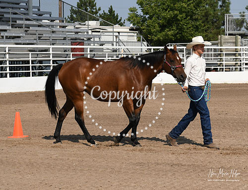 4H Awards 2021-48