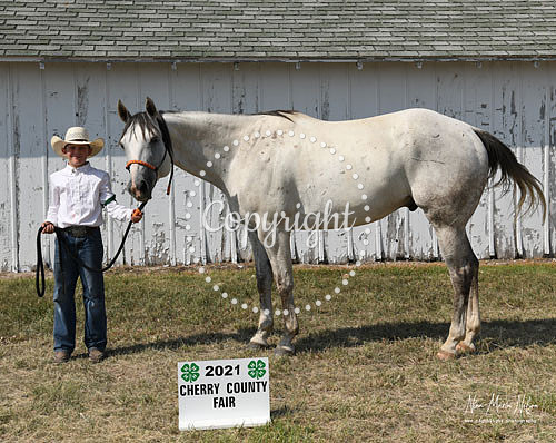 4H Awards 2021-67