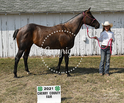 4H Awards 2021-54