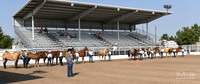 4H Awards 2021-14