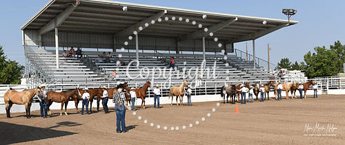 4H Awards 2021-14