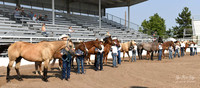 4H Awards 2021-9