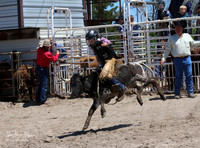 IMG_5200