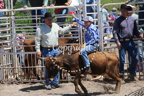 IMG_5234